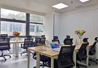 四川机器视觉动态位移传感器推荐厂家