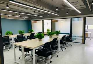 海南甲酸钠出口